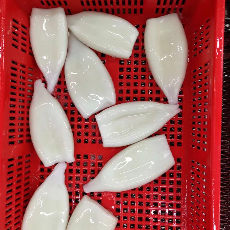 frozen seafood squid stuffed animal