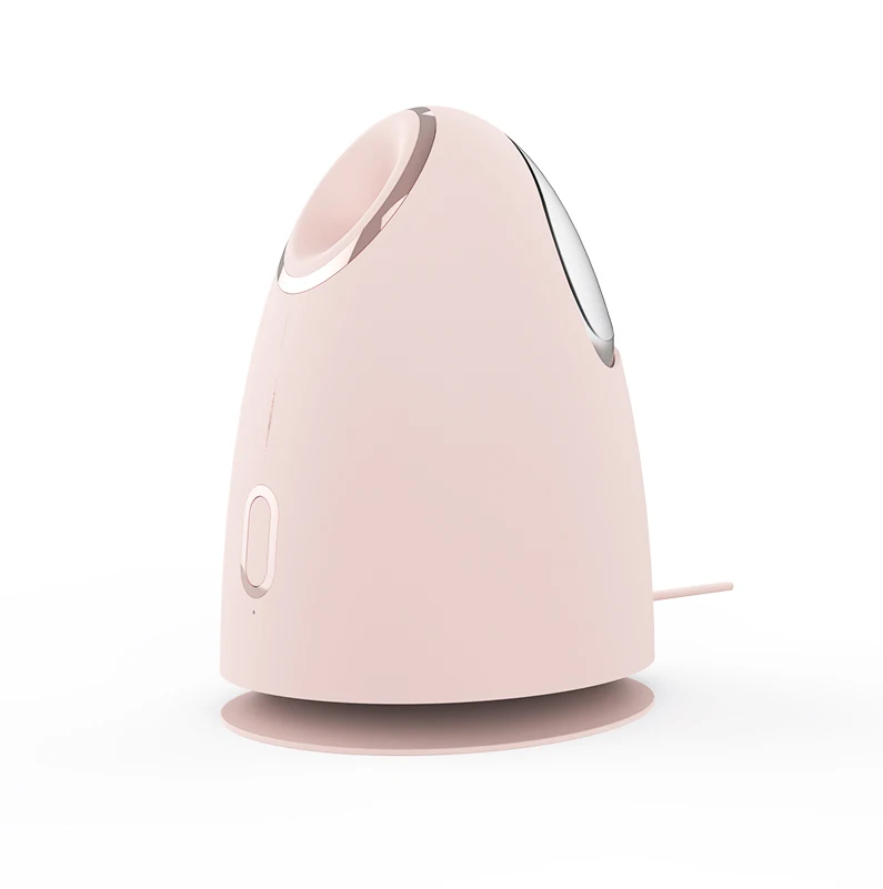 Humidifier Face Nano Mist Sprayer Custom Private Label Electric Home Mini Ionic Spa Professional Facial
