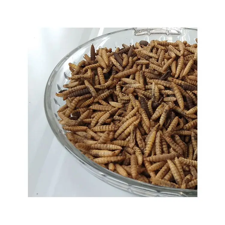 Оптовая цена, корм для личинок протеина насекомых, черный солдат