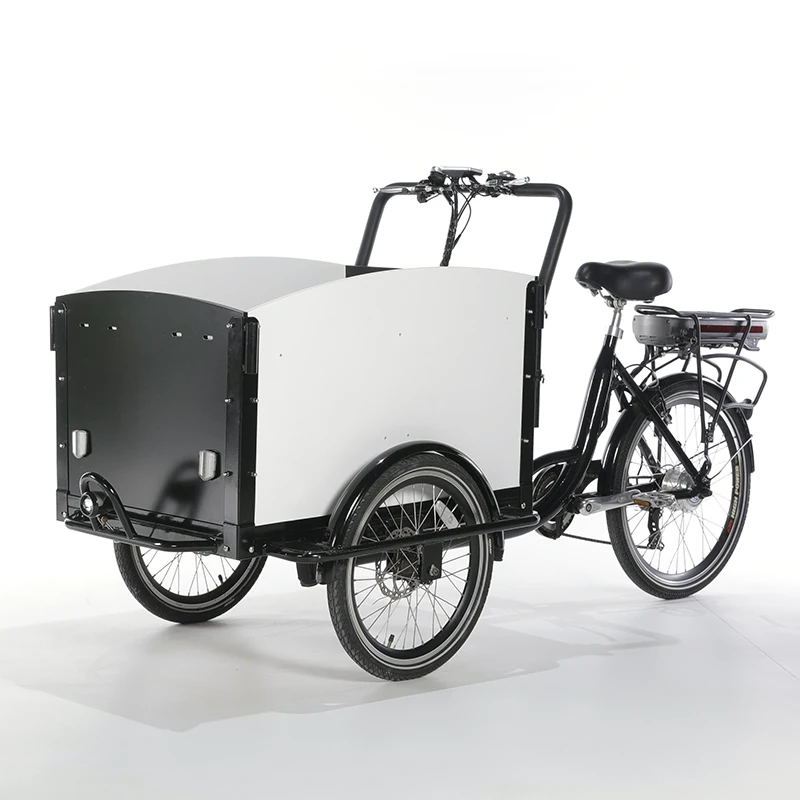 250W motor Electric Cargo Bike Dog Care Cargo Bike 3 Wheel Family Adult Bicycle Tricycle with front loading box