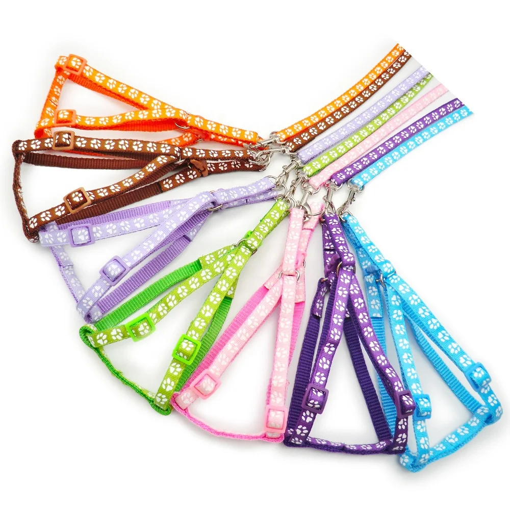 Wholesale Pet Harness And Leash Set Paw Print Cute Puppy Chest Strap Walking Dog Harness Leash Set