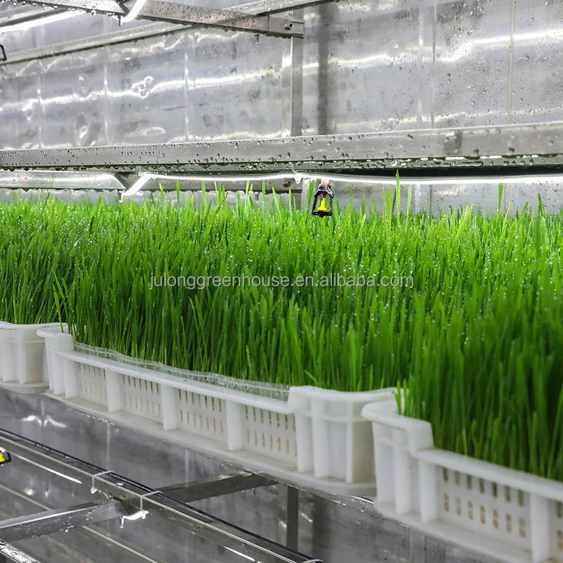 Fodder Container Farm Vertical Farming Container Greenhouse for Agriculture