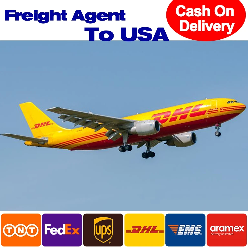 lcl fcl cbm toward freight forwarder logistics agent shipping from hebei sichuan qingdao ningbo shanghai hong kong china to usa