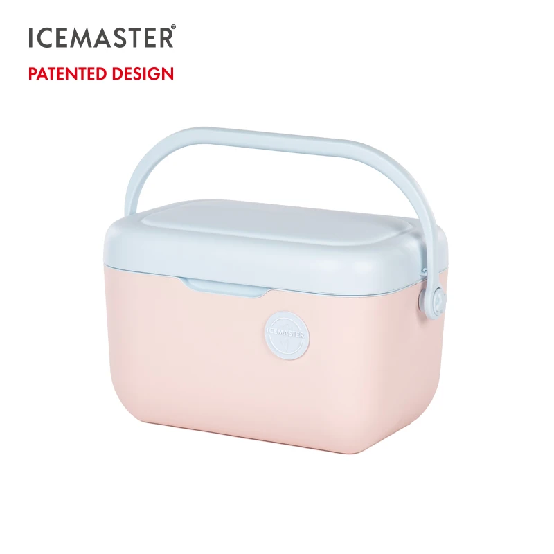 Новые поступления IceMaster 21QT удобный для переноски холодильная коробка жесткая мини-кулер на заказ