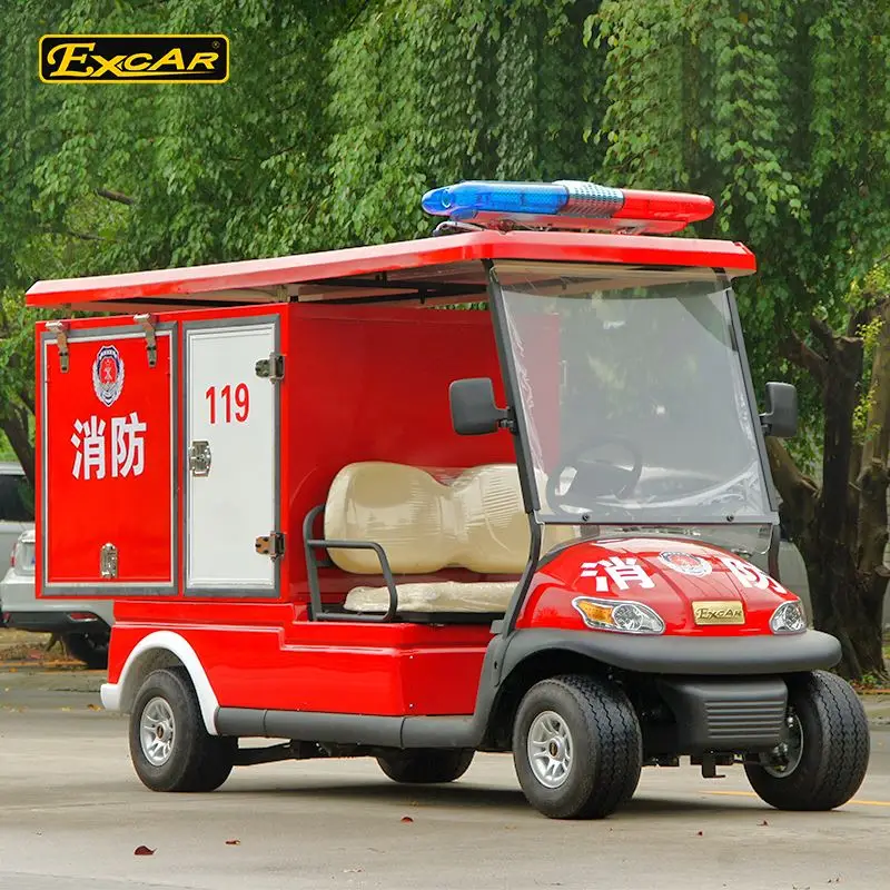 Electric 2 seater mini fire electric car/Trojan Battery/Curtis Controller