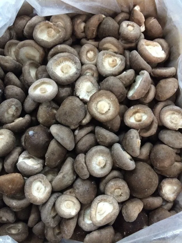 IQF Frozen Shiitake Mushroom Whole Cut Cubes