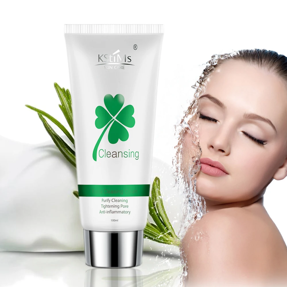 Private Label OEM Organic Tea Tree Oil Face Wash Herbal Facial Cleanser with Amino Acid for Dry Skin Whitening and Repair