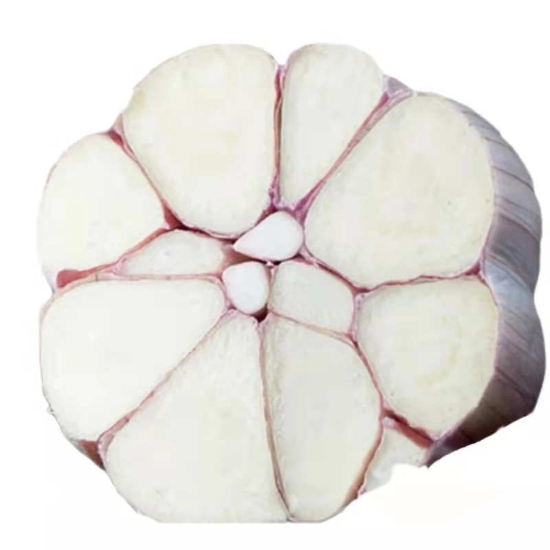 2021 китайский свежий белый чеснок, красный чеснок, лучшая оптовая продажа, свежий чеснок, высокое качество для экспорта из Китая 5 см