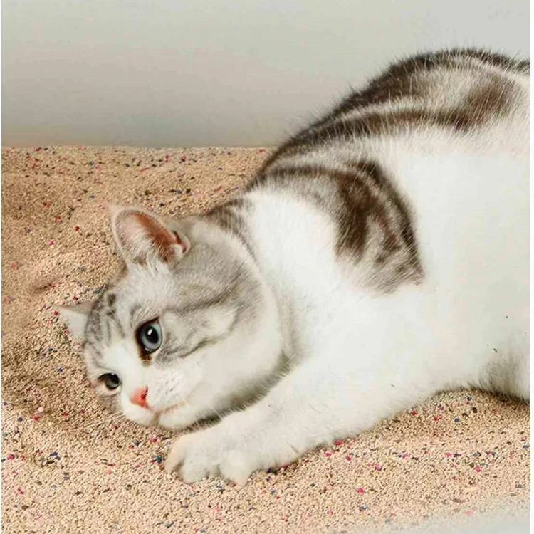 Wholesale Cheap Clay Bentonite Cat Litter Factory Strong Agglomeration And Deodorization Ball Shape Bentonite Cat Litter Sale