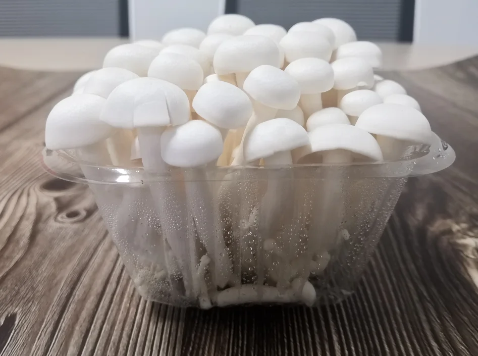 
Anti-Diebetes Fresh White Beech Mushroom 