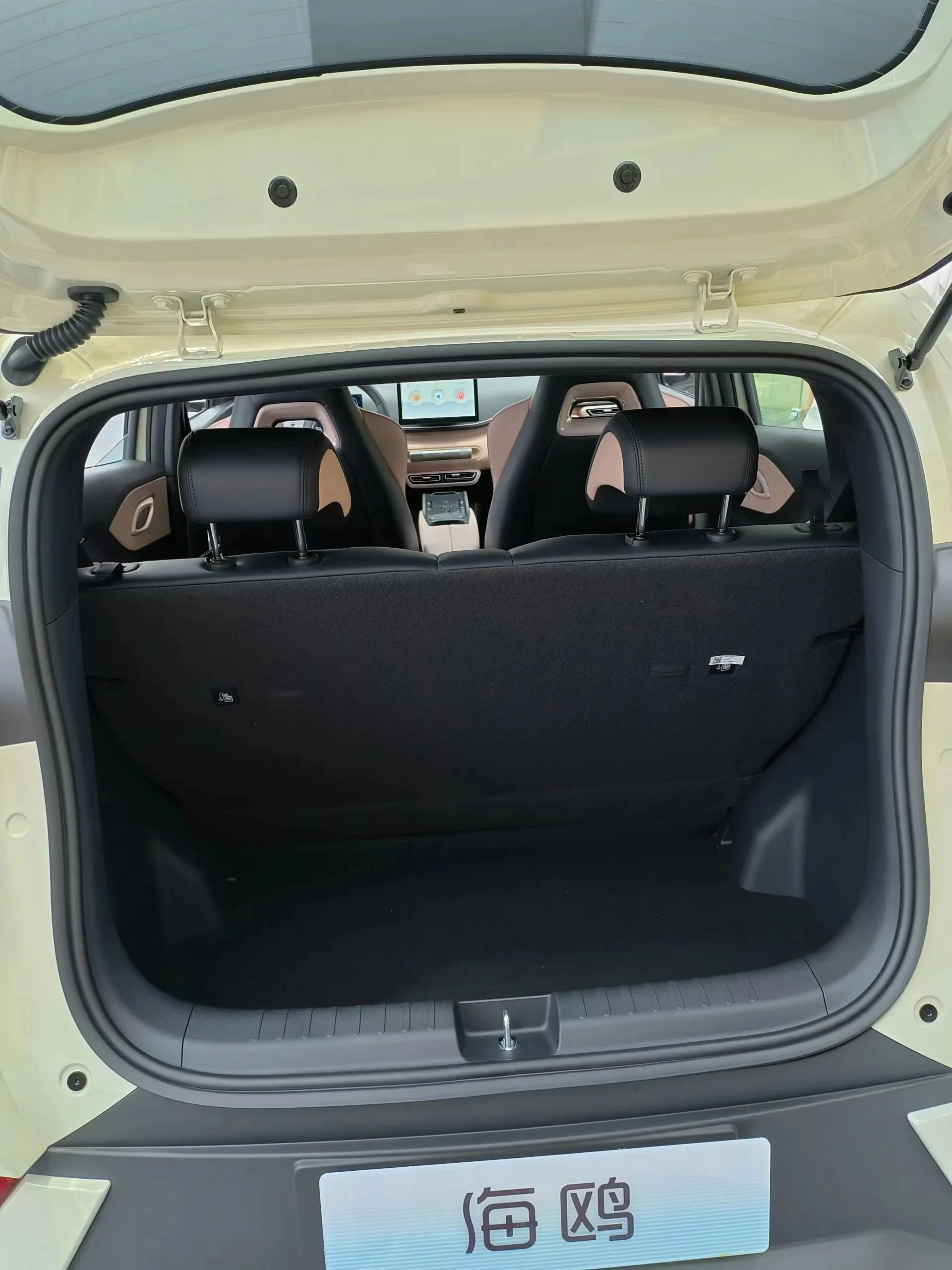 BYD Seagull 2024 New Energy Vehicle 405km 5-door-4-seat High Quality Pure Electric Mini Car