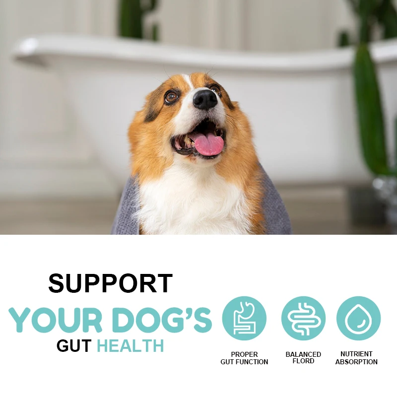 OEM Pet Probiotic Digestive Care Animal Medicine Skin Health Promoting Probiotic chews for Dogs