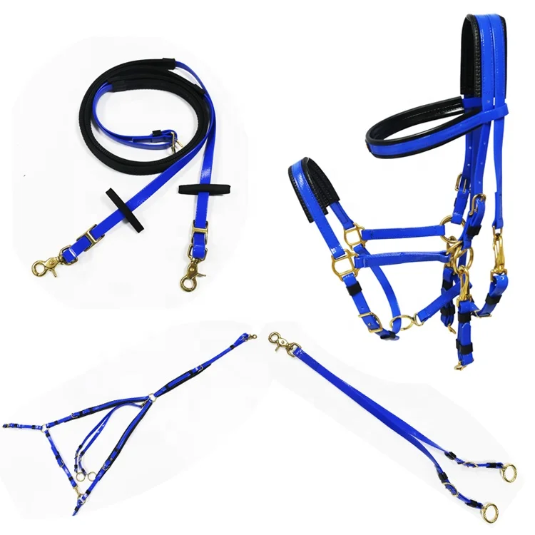 Марафонская выносливость, подтяжка, нагрудник и бег Martingale