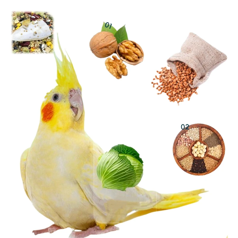 Cockatiel Parrot Special Food Feeds Mixed Fruits Vegetables Snacks Special Calcium Supplementing and Fertilizing Nutrient Grain
