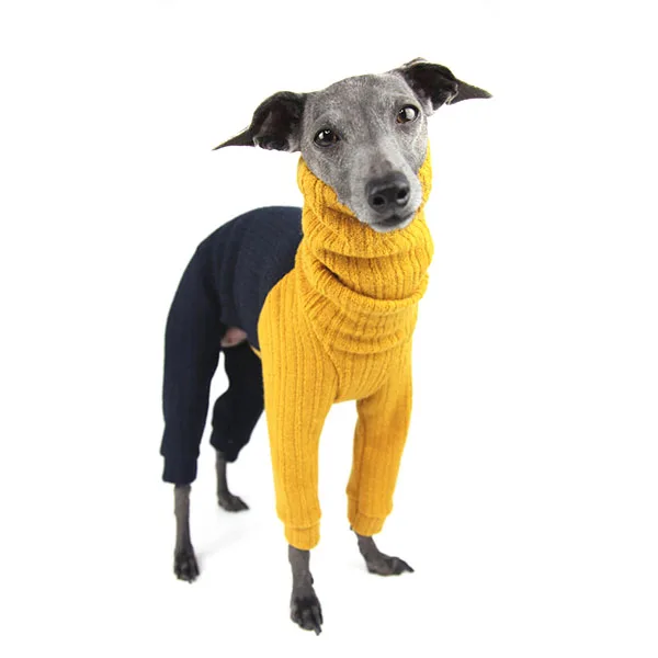 Luxury designer dog clothes Pet winter sweater dog fashion pet clothes gorgeous wooly romper braemar italian greyhound