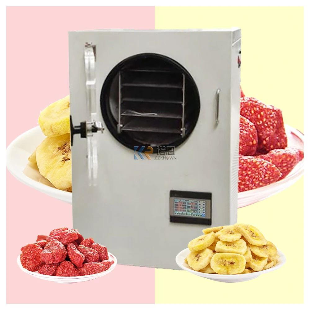 OEM 1-8kg Vacuum Fruit Freeze Drying Dried Machines Mini Vegetables Lyophilizer Food Freezer Dryer for Sale