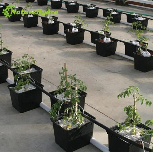 High Quality Dutch Bato Bucket Wholesale Hot Selling Hydroponic for Tomato Greenhouse