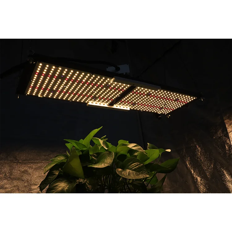  240 Вт предварительная сборка Kingbrite lm301B uv ir red 660 панель для выращивания растений комплект