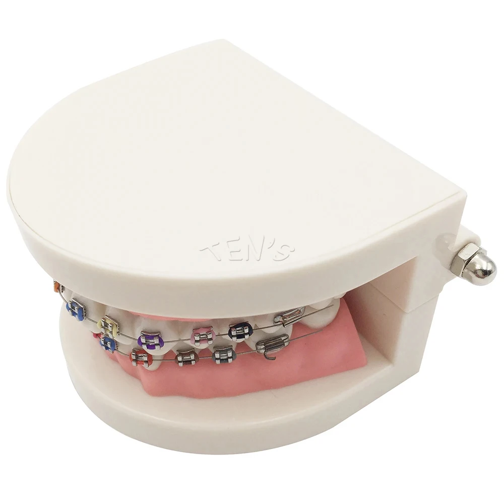 New Arrival Dental Equipments Brackets Products Odontologia Fashion Braces for Teeth