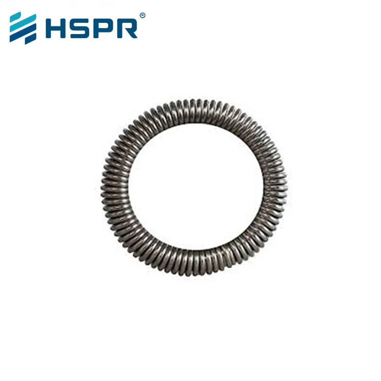 Huihuang Factory Supply  OEM Elastic Stainless Steel Circle Oil Seal Circle Shape O ring Garter Spring