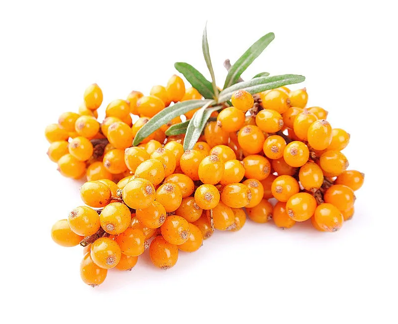Wholesale Bulk Organic Sea Buckthorn Extract Seabuckthorn Fruit Juice Powder