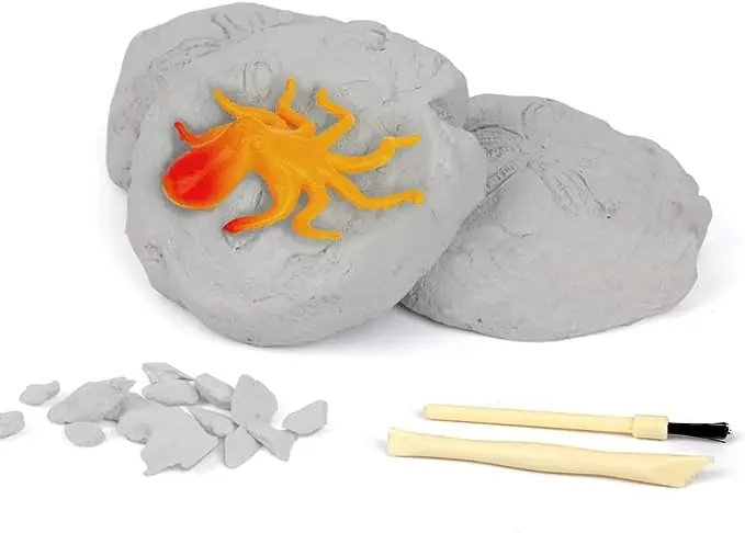 STEM Education Science Activities Toys Marine Organism Ocean Fish Dig Kit Excavate 12 Sea Life Fish Toys Science Kits