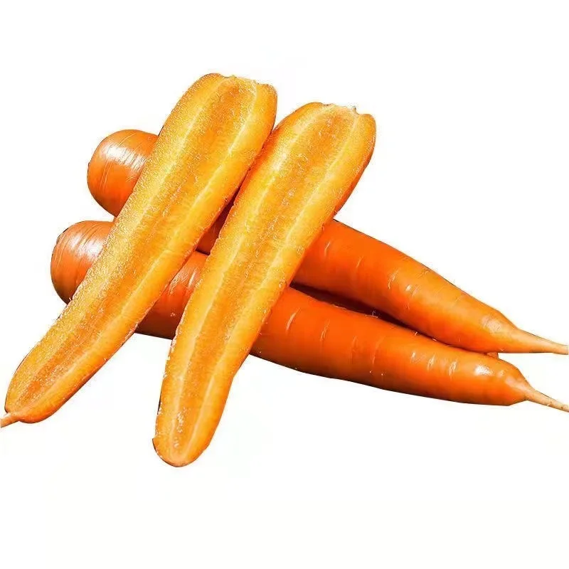China manufacturing cheap seasonal vegetables fresh high-quality carrots shandong seasonal carrots
