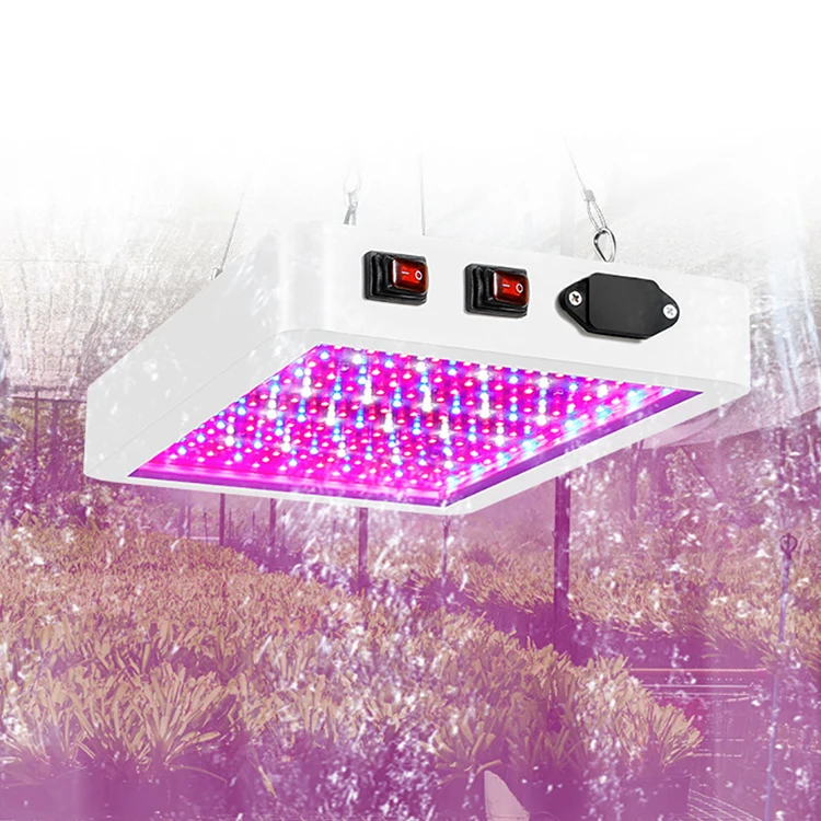 LED Grow Light 3000W Waterproof Phytolamp 2835 Leds Chip Phyto Growth Lamp 265V Full Spectrum Plant Lighting For Indoor Plant