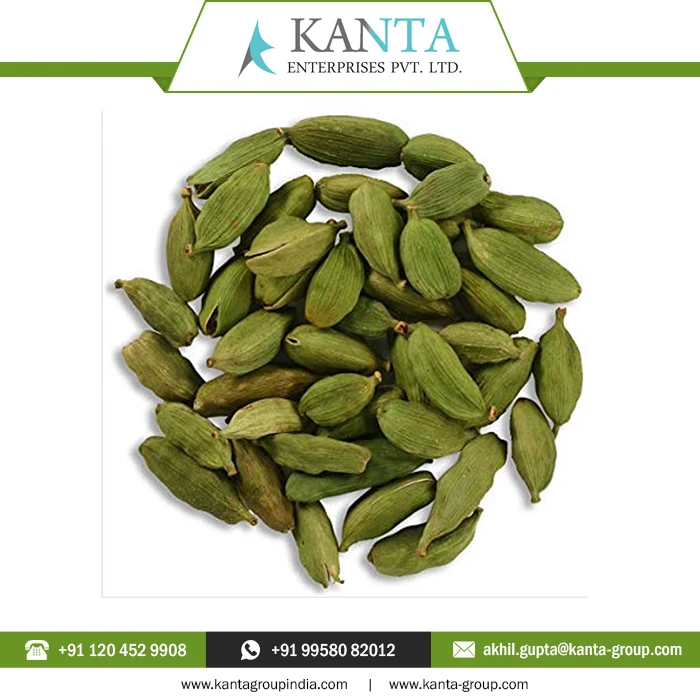 Pure 100% Natural Cardamom Essential Oil powerful flavoring and aromatic agent Available at low Price