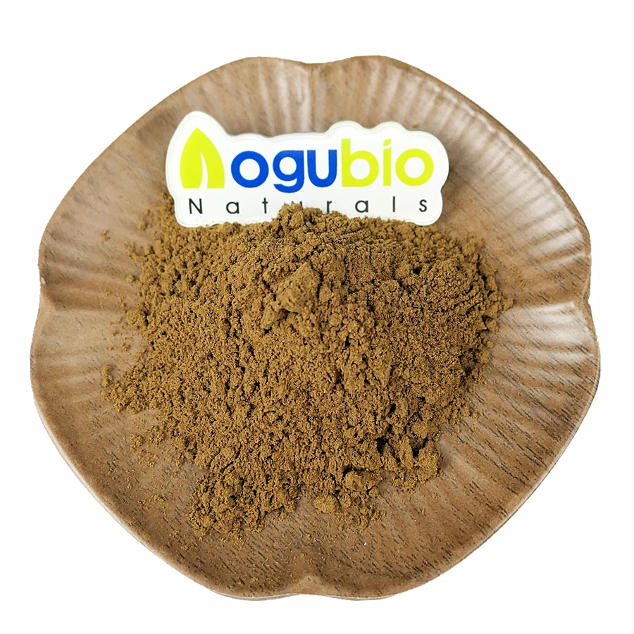 High quality Organic Maitake mushroom extract