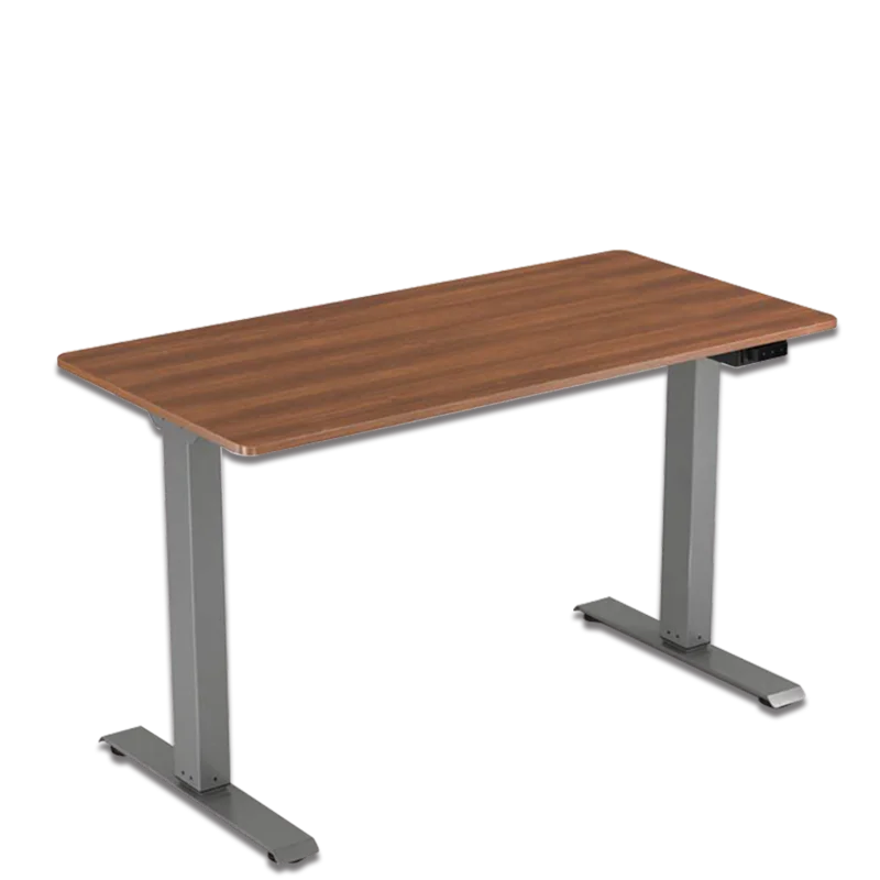 Modern Dual-Motor Ergonomic Adjustable Elevator Vertical Desk Unique Wooden Design with Extendable Feature