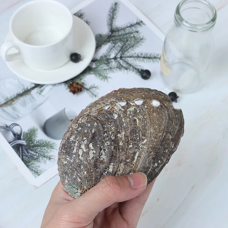 Фабрика Celion оптовая продажа набор для очищения дома растушевки ракушки в