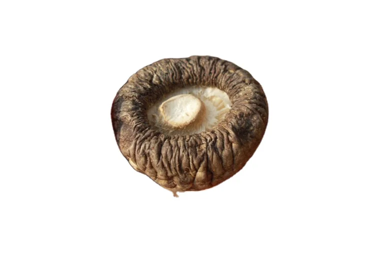 Healthy  Organic dried shiitake mushrooms factory price whole slice 1kg Lentinus edodes