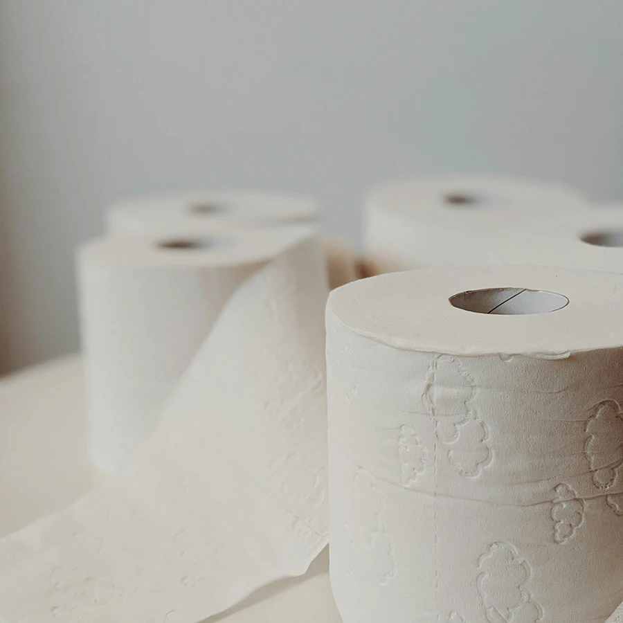 Organic Pure Wood Pulp Toilet Tissue Oem Toilet Paper Import Bathroom Tissue