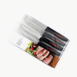 4pcs Stainless Steel Steak Knife Set with Plastic Handle