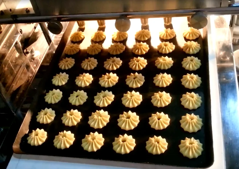 Rotary moulder wire cut small fortune cookies extruder making machine line for sale multidrop cookie machinery price