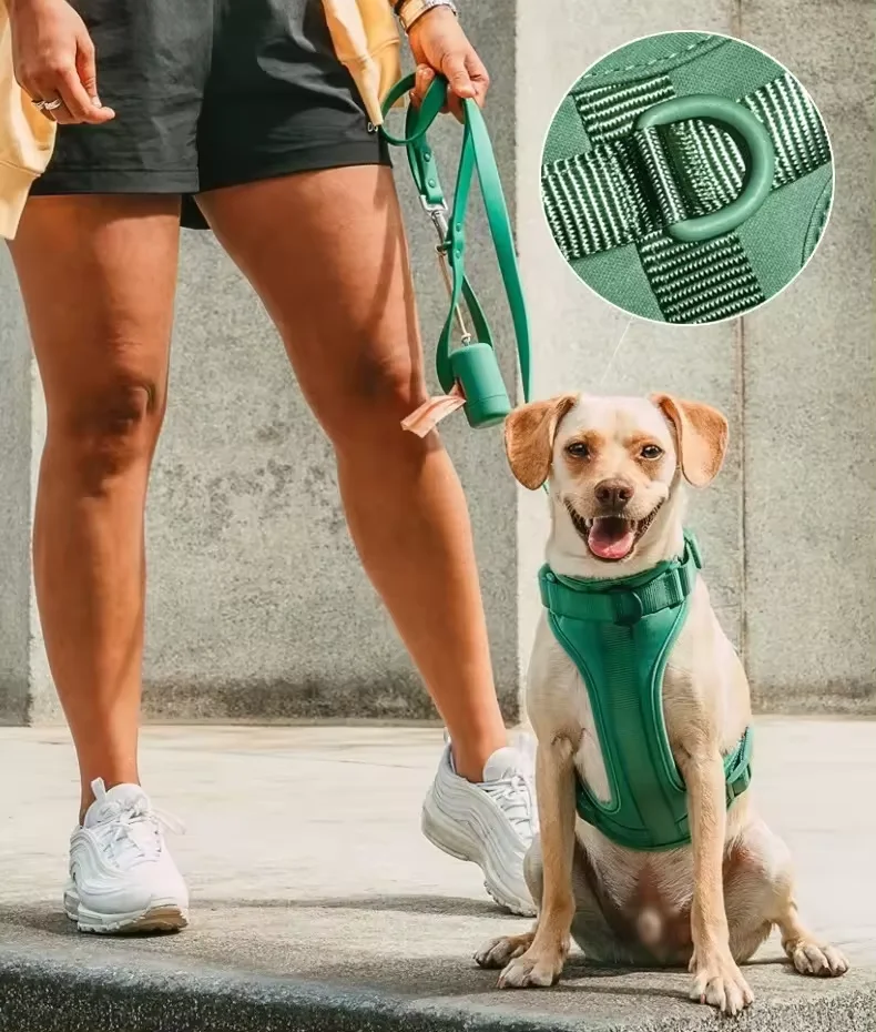 Custom Logo Luxury Dog Collar Pet Walk Kit Leashes Adjustable Waterproof Neoprene Soft PVC Silicone Dog Harness and Leash Set