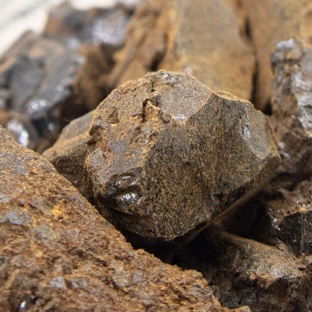 Natural  Bee Propolis Capsule/Raw propolis/propolis powder For Human