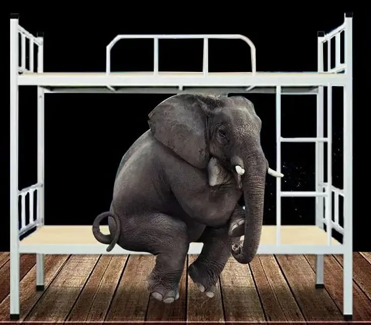 Hot sell school fashion wholesale new style cheap high quality solid durable factory direct iron bunk bed