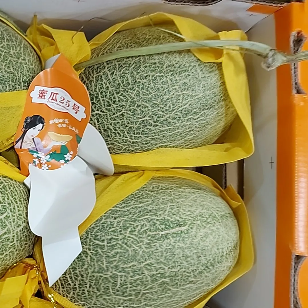 Crispy Juicy Sweet Winter Hami Melons for Wholesale