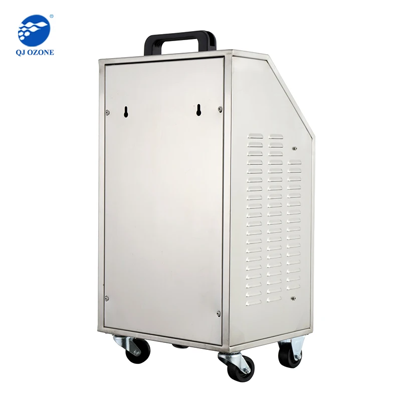 Commercial 5g Ozone Gas Generator Drinking Water Treatment Ozone Disinfection