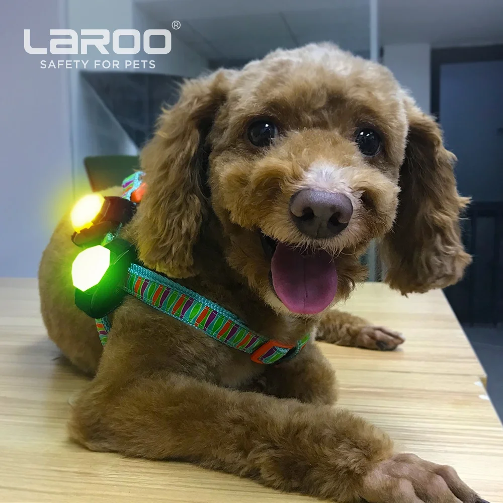 LaRoo High Quality best Price Usb Rechargeable Light Up Flashing Glowing Adjustable Led Pet Dog Collar
