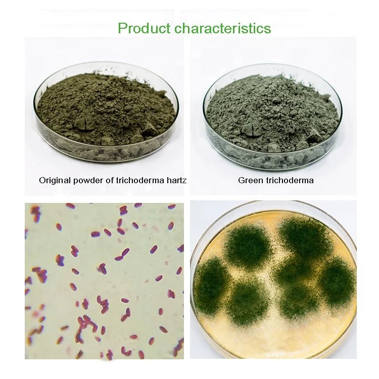 Manufacturer direct trichoderma harzianum selling powder downy mildew anthrax leaf mold gray spot
