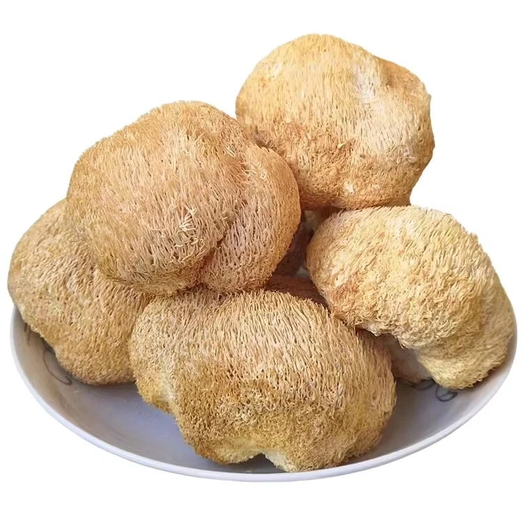 Healthy Food Hericium Erinaceu Lions Mane Mushroom Extract Lions Mane Mushroom