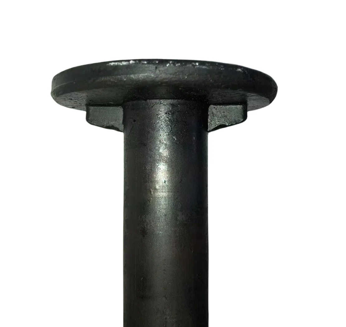 Plain/ HDG ASTM A307 Round Head 2/4 Fins or Nibs NeckTimber Bolts