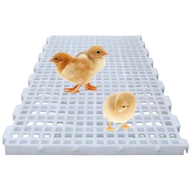 Source factory chicken leakage dung plate chicken plastic slatted floor mesh for poultry chicken breeding