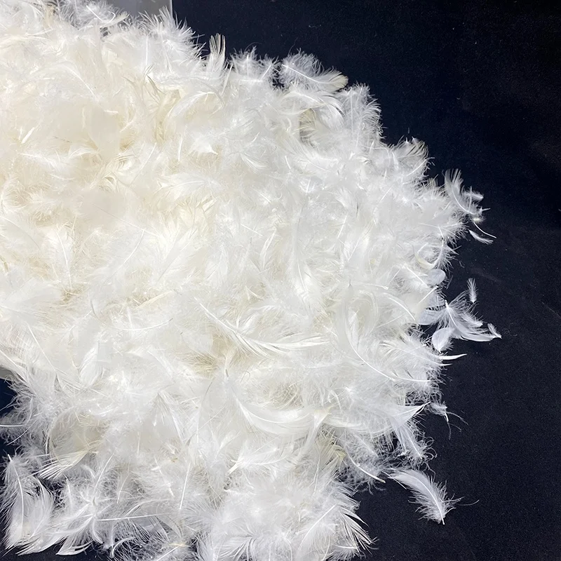 Multi-channel Washing Process to Wash Pure White Natural White Duck  Feather for Cheap Sale