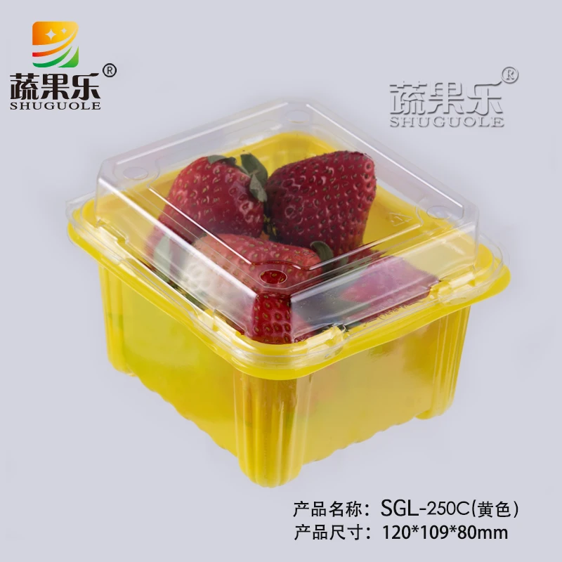 Supermarket Eco-Friendly Recyclable PET Plastic Food Container Clear Embossed Salad Fruit Box Packaging