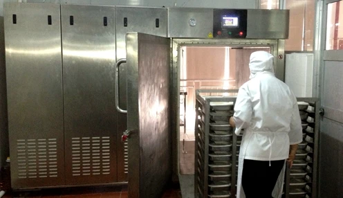 vacuum flash cooler machine for Ready foods