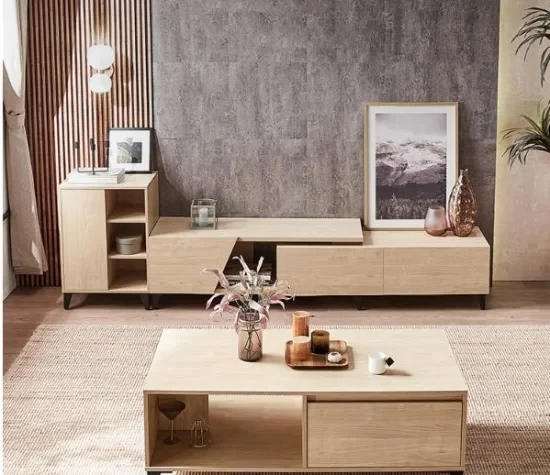 Modern Simple Living Room Furniture Set Wooden TV Stand
